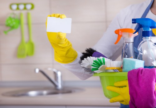Professional domestic cleaning in a modern living room