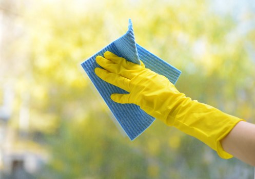 Inspection and audit of supplier workplace