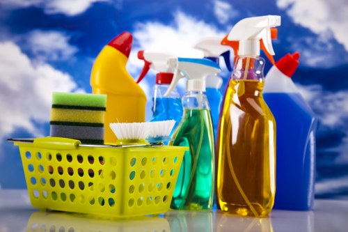 Cleaning supplies prepared for move out cleaning