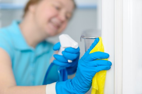 Technician performing streak-free window cleaning with tools