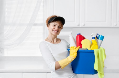Move in cleaning for a bright and fresh new home