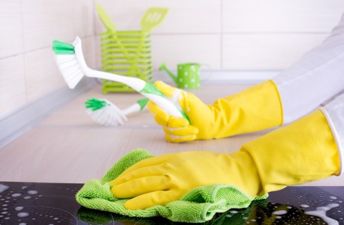 Cleaning oven racks separately