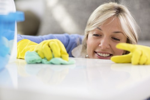 Room-by-room move out cleaning process with checklist