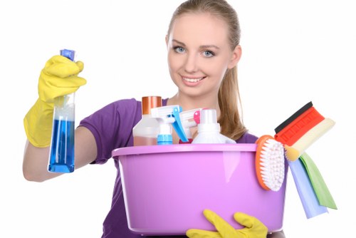 Professional cleaning of shared corridor and lift area in a property